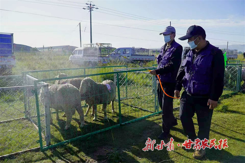 微信图片_2025-08-25_011738_421.jpg
