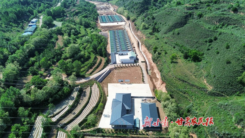 西华镇林麝养殖基地.jpg